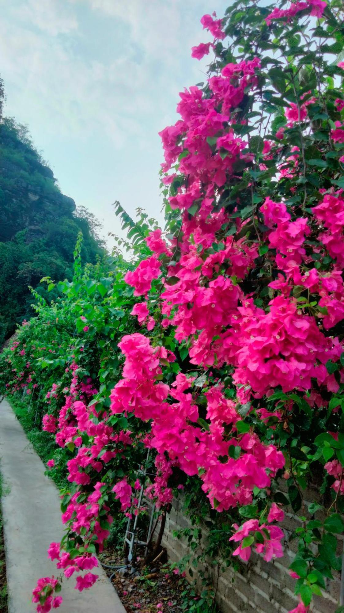 Hang Mua Eco Garden Xuan Son Exterior foto