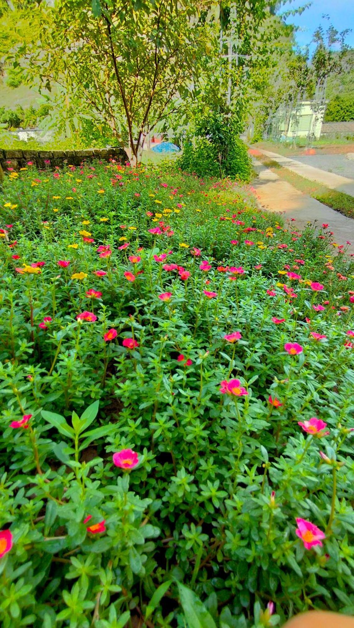 Hang Mua Eco Garden Xuan Son Exterior foto